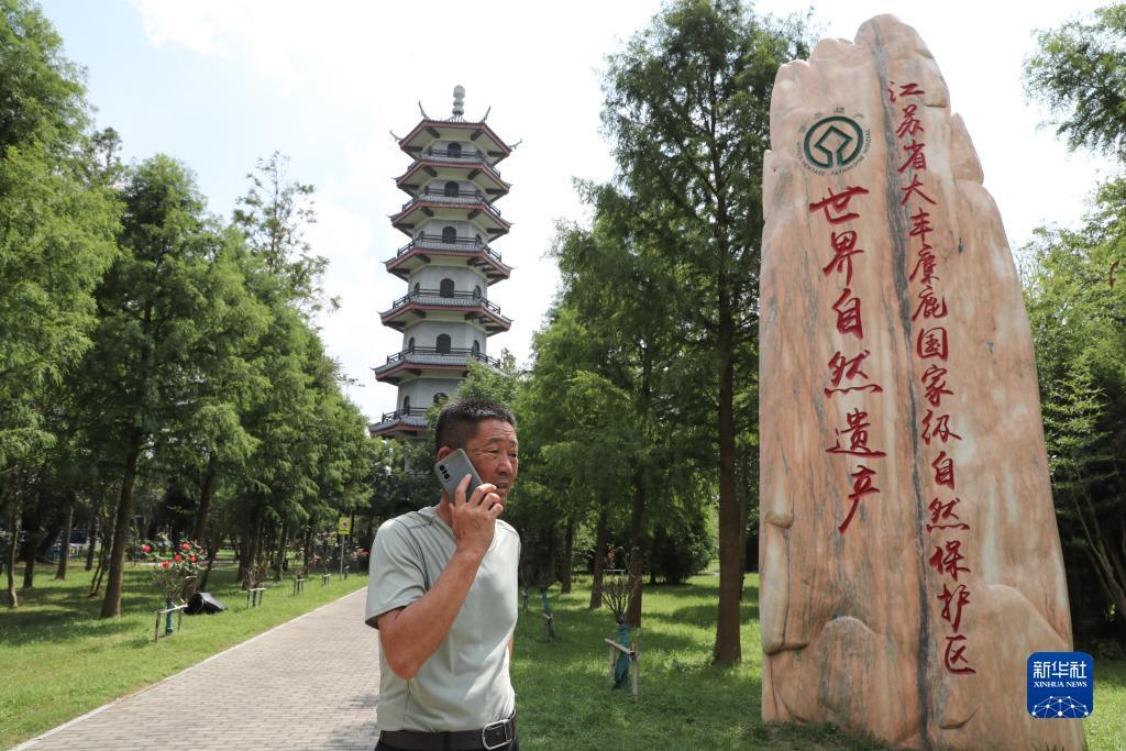 中易通棋牌网